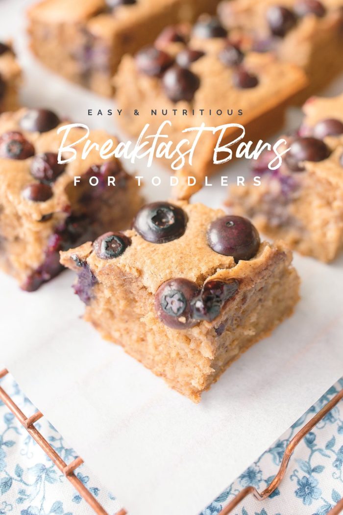 toddler snacks, toddler breakfast, blueberry oatmeal banana bars, meals for my kids, healthy recipes for toddlers, oatmeal bars, breakfast bars, easy recipe, blender bars for toddler, meal prep, blueberry, fruit serving, healthy little eaters, healthy recipes for kids, healthy blueberry bars for kids