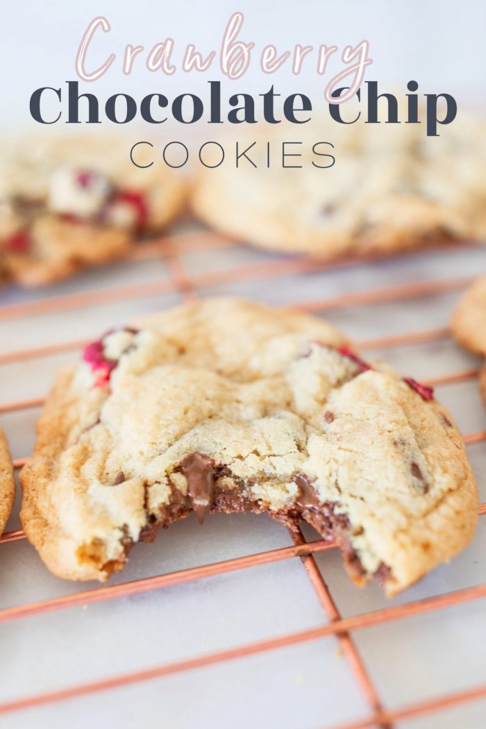 Perfect Chewy and Gooey Chocolate Chip Cranberry Cookies