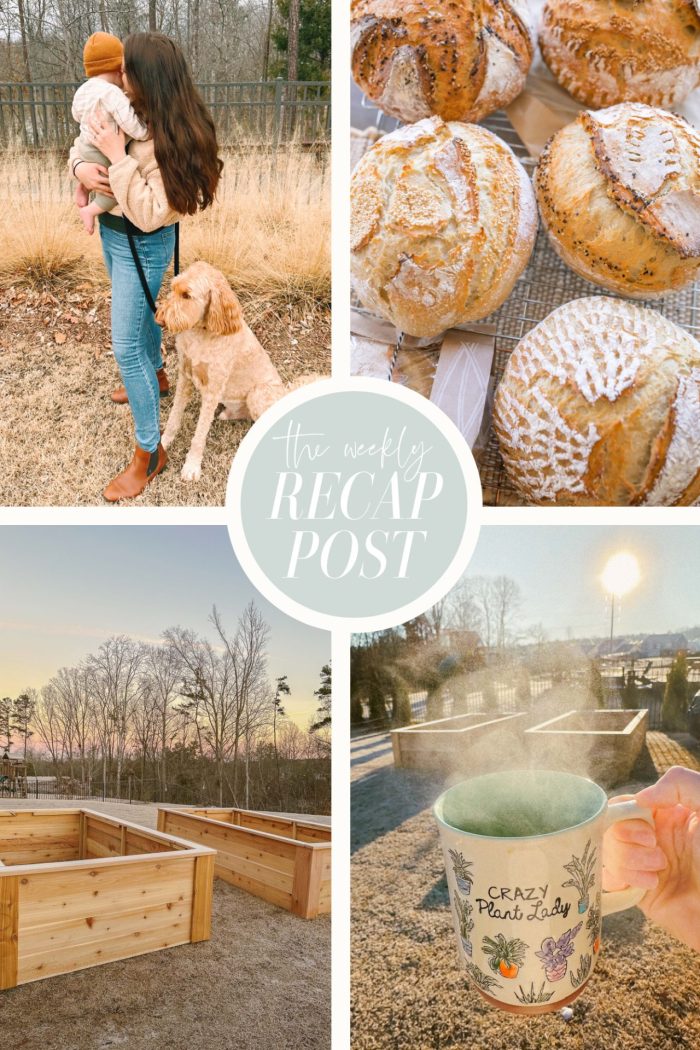Garden beds, baking bread, food, and cozy mornings at home