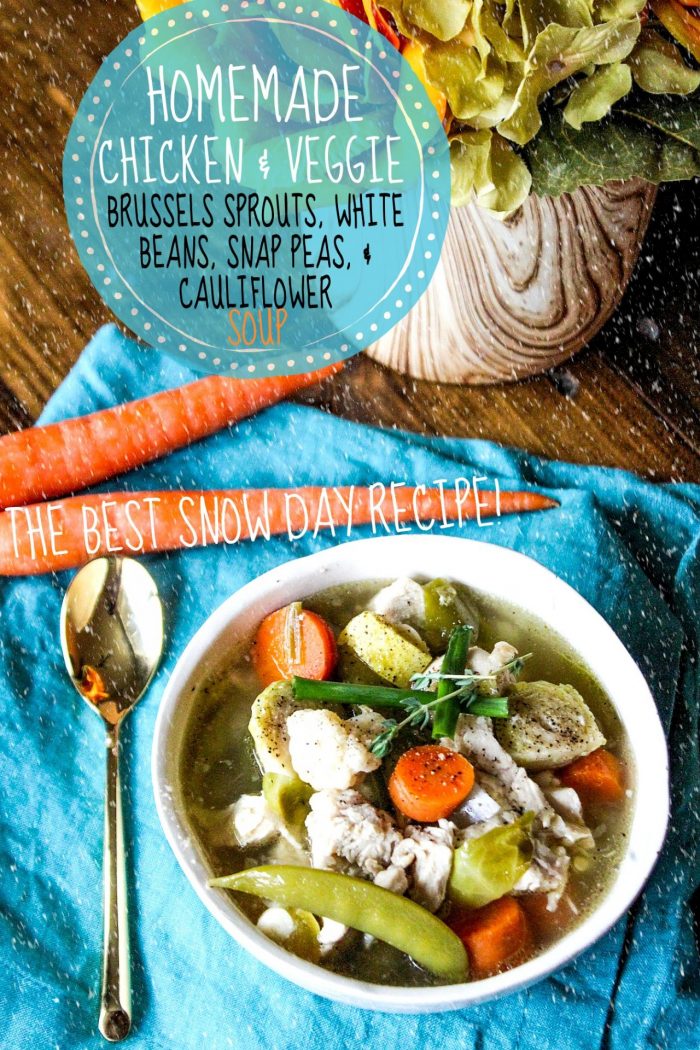 The Perfect Snow Day Chicken & Veggie Soup