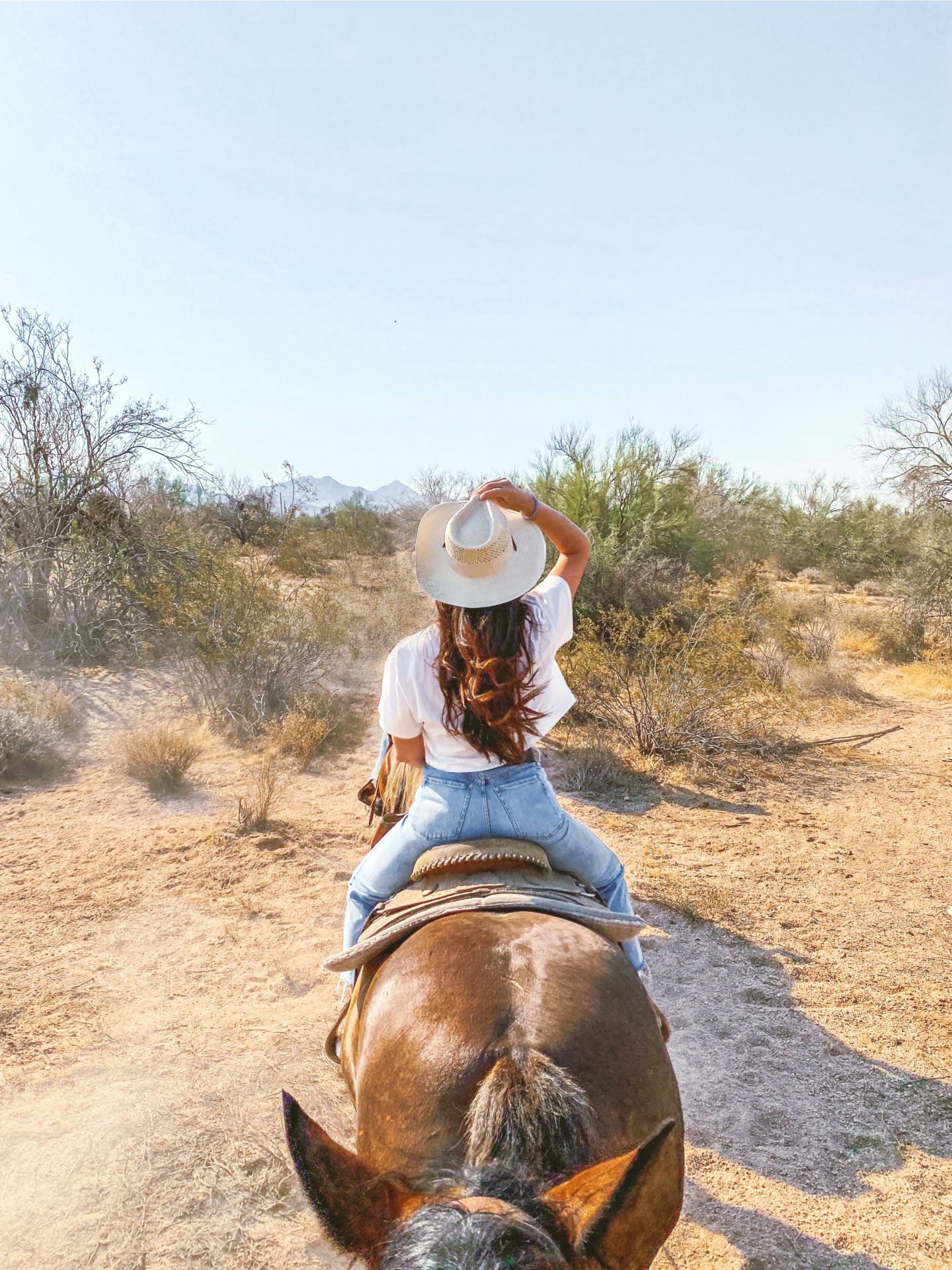 what to do in scottsdale Arizona, ultimate travel guide scottsdale Arizona, traveling, scottsdale, Macdonalds ranch, cactus, dessert, horseback riding, cowgirl, horseback riding, things to do, Arizona, travel blogger, photography, ranch, guide to scottsdale