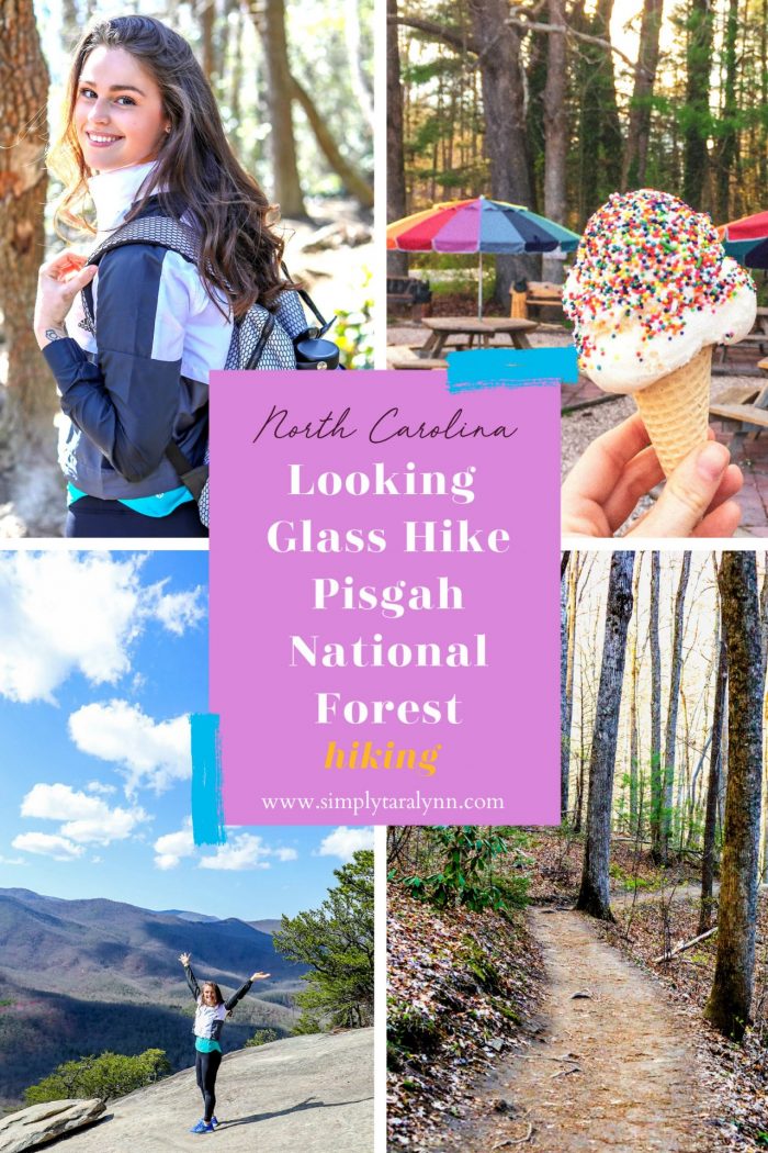 3rd Annual Hiking Trip to Pisgah National Forest + Video ☀️